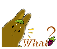 211321173