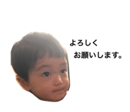 21133801