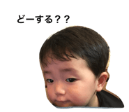 21133811