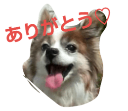 21135045