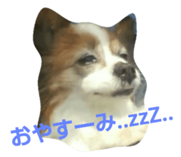 21135047