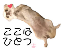 211362515