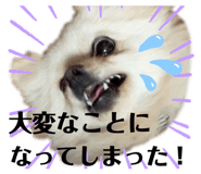 211362691