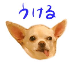 211362729