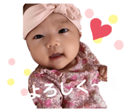 211363664