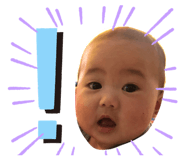 211366162