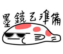21137464