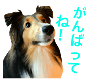 21140623