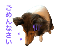 21140630
