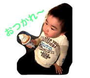 211503951