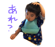 211503986