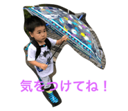211504000