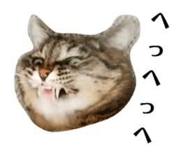 211657938
