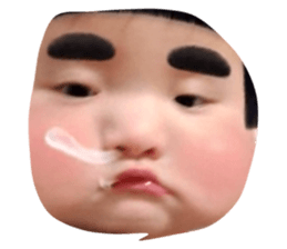21166554