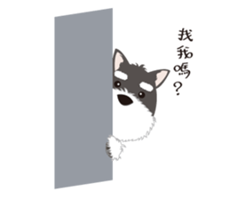 2117790