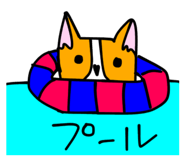 211845028