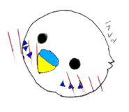 211856539