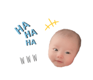 211981452