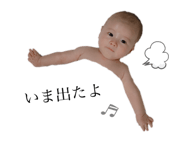 211981461