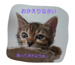 21199168