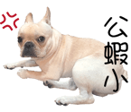 212002207