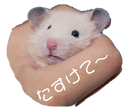 212044765