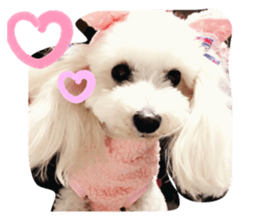 212053914