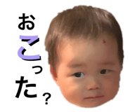 212185067