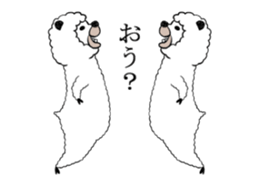 21223016
