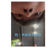 212370459