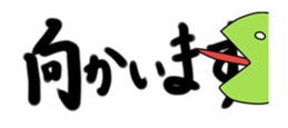21246575