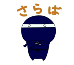21246576