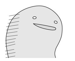 21246586