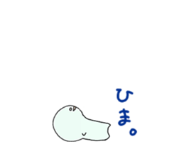 21246591
