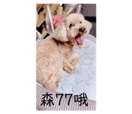 212493994