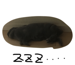 21252626