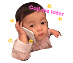 21253294
