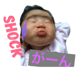 21260374