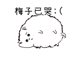 212664962