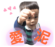 212762402