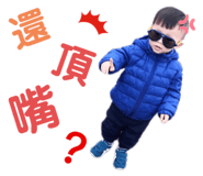 212762426
