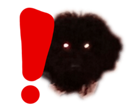 212774024