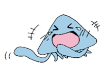 21300293