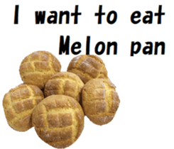 21302817