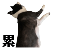 213073195