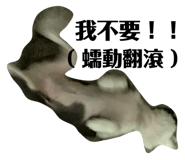 213073199
