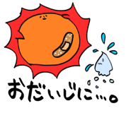 213097648
