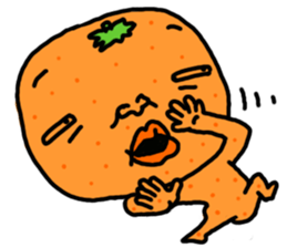 2132033