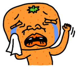 2132038