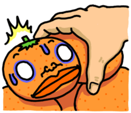 2132056